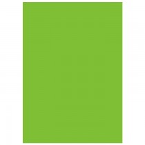 Фон студийный виниловый зеленый Lastolite Chromakey Green Vinyl 2.75x6m (7781)