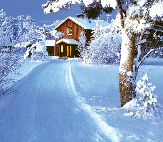 Фон бумажный сюжетный Art Ocean (10759) 2,4x2,4м