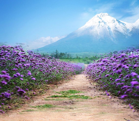 Фон бумажный сюжетный Art Ocean (11299) 2,4x2,4м