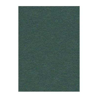 Фон бумажный 2,72x11м Creativity 12 Spruce Green