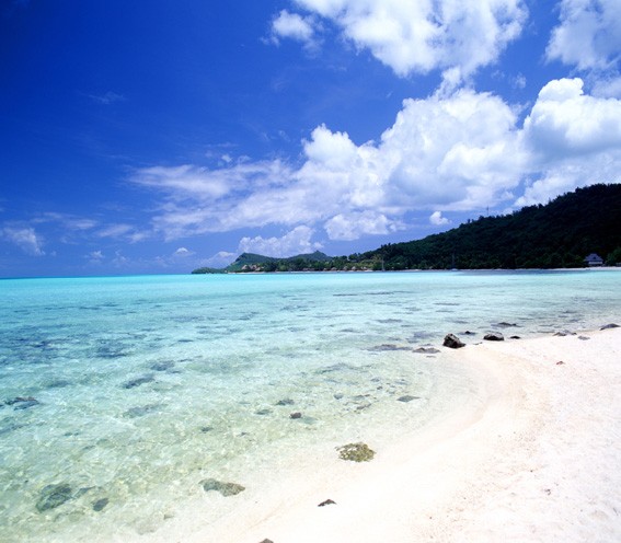 Фон тканевый сюжетный Art Ocean (7278) 2,4x2,4м