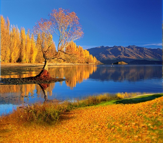 Фон тканевый сюжетный Art Ocean (9564) 2,4x2,4м