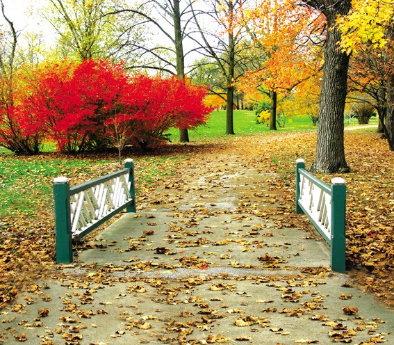 Фон тканевый сюжетный Art Ocean (10813) 2,4x2,4м