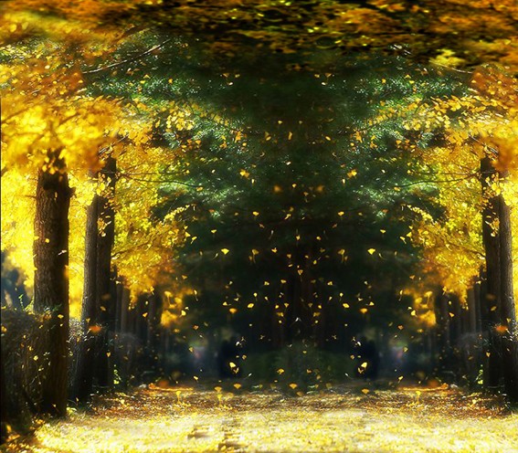 Фон тканевый сюжетный Art Ocean (6090) 2,4x2,4м