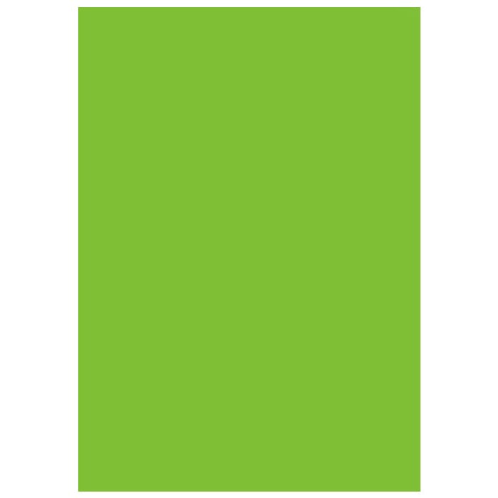 Фон студийный виниловый зеленый Lastolite Chromakey Green Vinyl 2.75x6m (7781)
