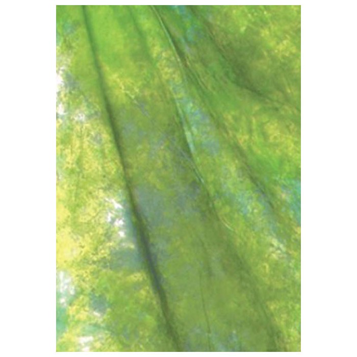 Фон студийный тканевый Weifeng WOB2001 2.6x3m W-089