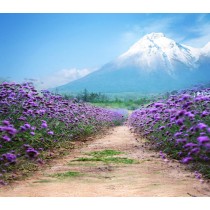 Фон тканевый сюжетный Art Ocean (11299) 2,4x2,4м