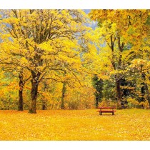 Фон тканевый сюжетный Art Ocean (11438) 2,4x2,4м