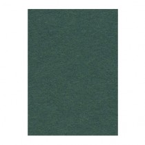 Фон бумажный 2,72x11м Creativity 12 Spruce Green