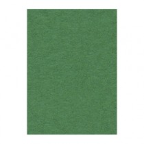 Фон бумажный 2,72x11м Creativity 31 Apple Green