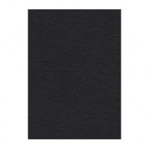 Фон бумажный 2,72x11м Creativity 44 Black