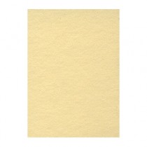 Фон бумажный 2,72x11м Creativity 65 Champagne