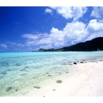 Фон тканевый сюжетный Art Ocean (7278) 2,4x2,4м