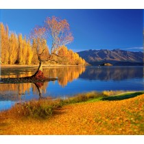 Фон тканевый сюжетный Art Ocean (9564) 2,4x2,4м