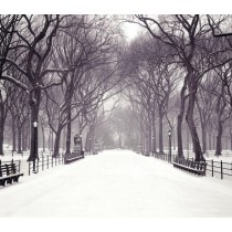 Фон тканевый сюжетный Art Ocean (8086) 2,4x2,4м