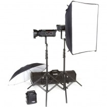 Набор студийного света BOWENS GEMINI 500PRO/500PRO TRAVEL PAK KIT (BW-4865)