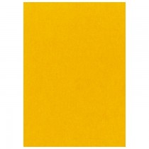 Фон студийный бумажный Lastolite Yellow 1,37х11м 