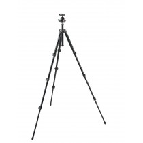 Штатив Manfrotto MK294A4-A0RC2