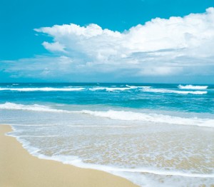 Фон бумажный сюжетный Art Ocean (10348) 2,4x2,4м