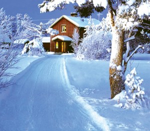 Фон тканевый сюжетный Art Ocean (10759) 2,4x2,4м