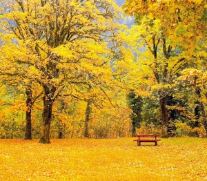 Фон тканевый сюжетный Art Ocean (11438) 2,4x2,4м