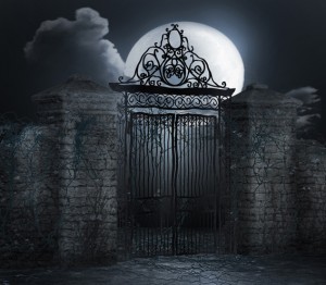 Фон тканевый сюжетный Art Ocean (12076) 2,4x2,4м