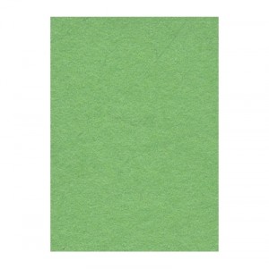 Фон бумажный 2,72x11м Creativity 63 Summer Green