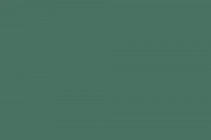 Фон бумажный 1,35x10м Mircopro 12 Deep Green