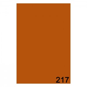 Фон бумажный 2,72 x 11м BD 217 Каньон (Canyon)