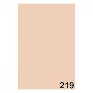 Фон бумажный 2,72 x 11м BD 219 Пампас (Pampas)