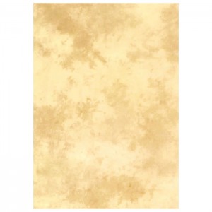 Фон студийный тканевый Lastolite Arizona 3x7m (7854)