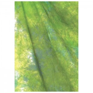 Фон студийный тканевый Weifeng WOB2001 2.6x6m W-089