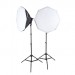 Набор флуоресцентного света Mircopro FL-305 Double Kit