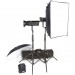 Набор студийного света BOWENS GEMINI 500PRO/500PRO TRAVEL PAK KIT (BW-4865)