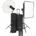 Набор студийного света BOWENS GEMINI 500C/500C TRAVEL PAK TX KIT (BW-8310TX)