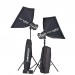 Комплект студийного света Elinchrom BX 500 Ri