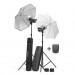 Комплект студийного света Elinchrom D-Lite-it 2/4 