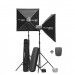 Комплект студийного света Elinchrom D-Lite-it 4