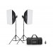 Набор студийного света Godox MS200V-F