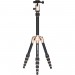 MeFOTO BackPacker Gold