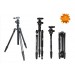 Штатив Triopo Carbon GT-3228X8.C + B-2 Ball Head